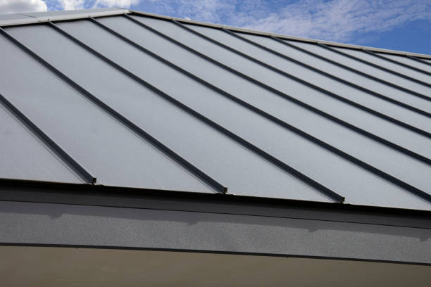 Best Solar Panel Roofing Installation  in USA